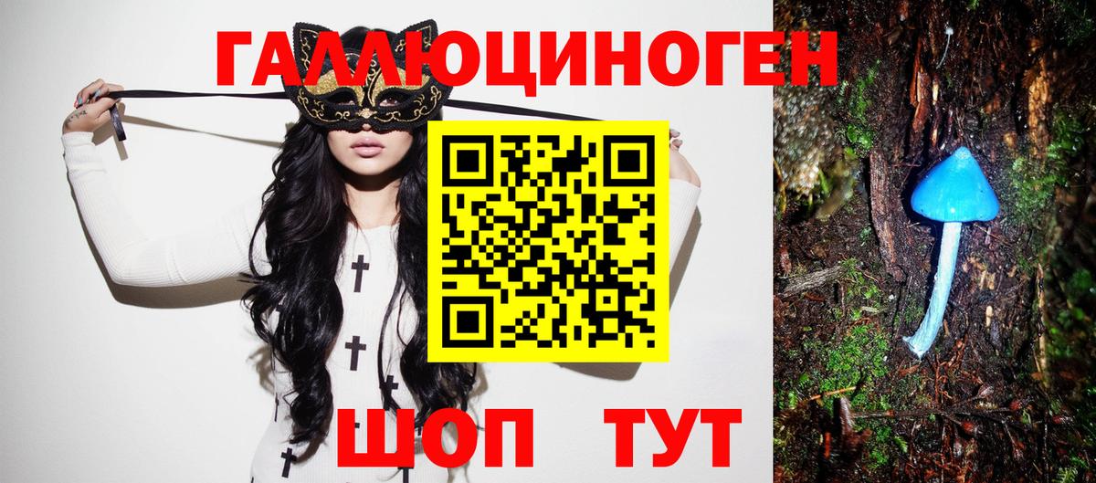 Галлюциногенные грибы Psilocybe  Вход с VPN  Псилоцибиновые грибы мухоморы  купить закладку  Лосино-Петровский 