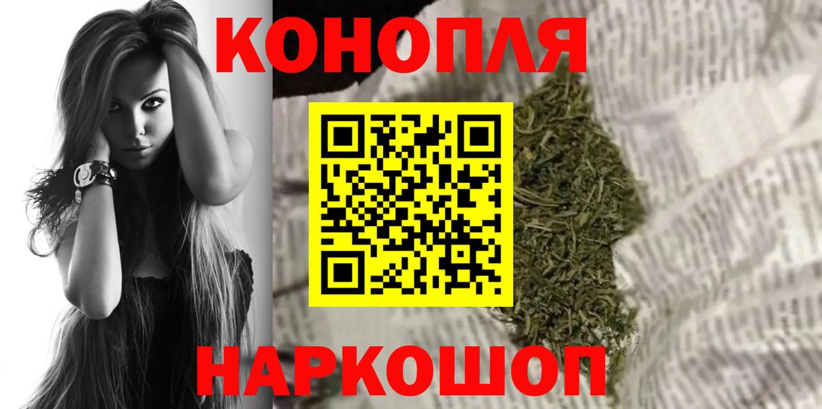 Бошки марихуана конопля  Бошки марихуана тримм  Лосино-Петровский  Канабис Amnesia  Вход с VPN  Канабис Bruce Banner 
