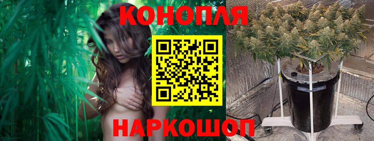 Бошки марихуана SATIVA & INDICA Лосино-Петровский